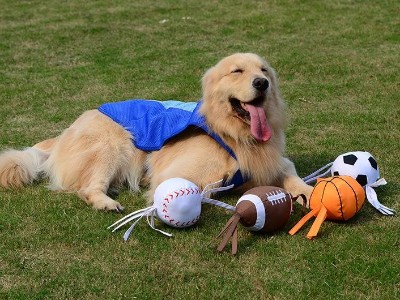 橡膠粘接膠水，聚力高濃度快干膠成功應(yīng)用